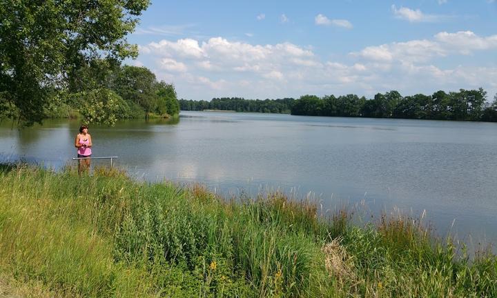 Gasthaus Zum Plothenteich